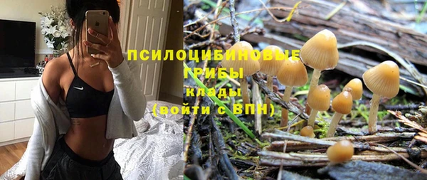 мдпв Кукмор