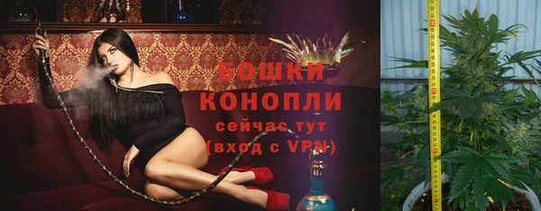 хмурый Кулебаки