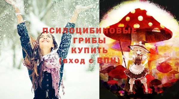 хмурый Кулебаки